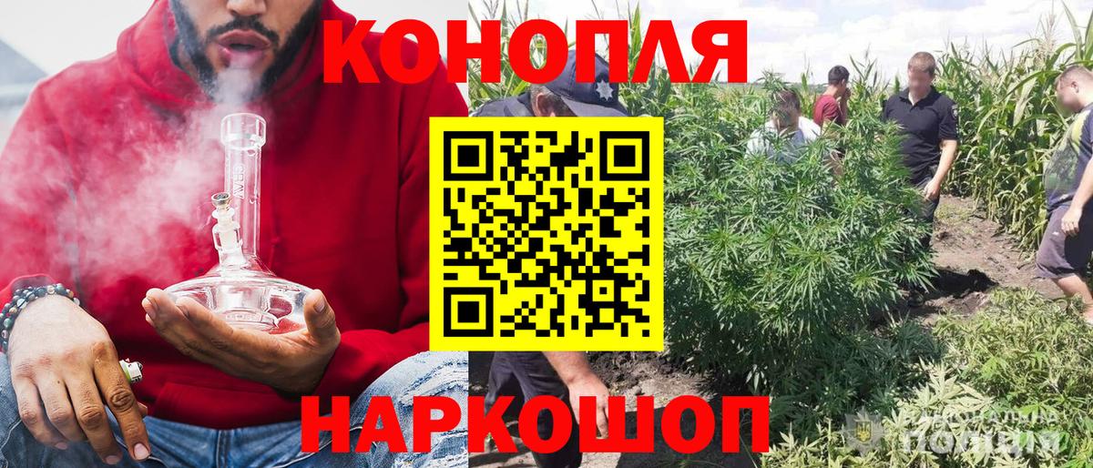 Канабис SATIVA & INDICA Новый Уренгой